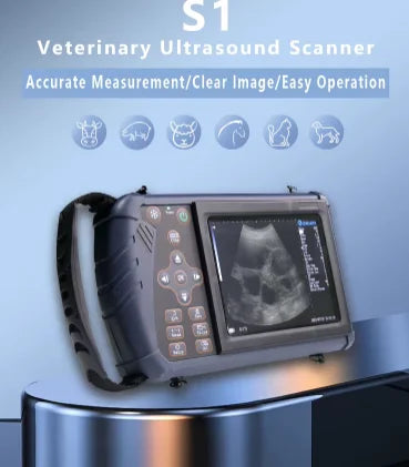 ecograf veterinar