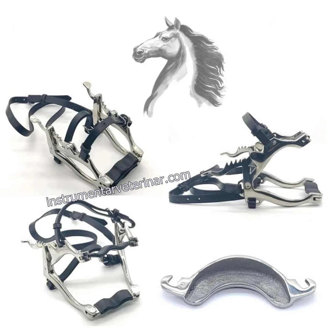 Speculum bucal